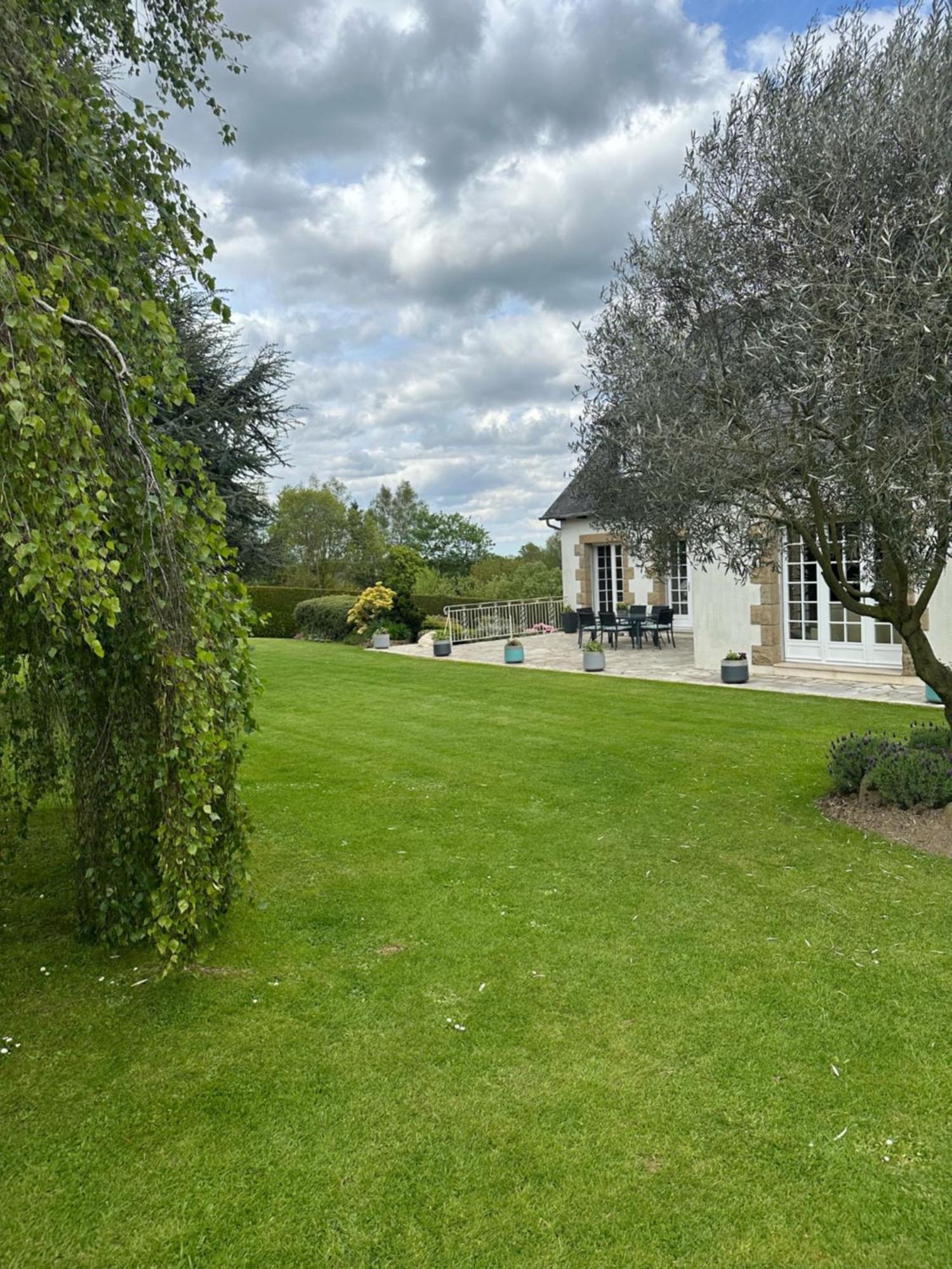 Les Tulipes Bed and Breakfast Antrain Buitenkant foto